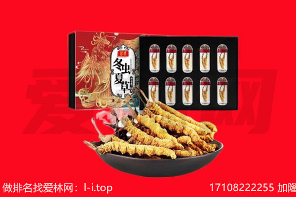 盘锦市回收虫草.jpg